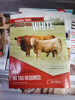 breed em white.jpg