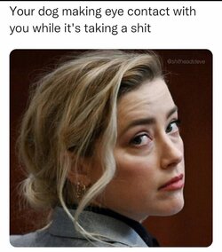 FRWTWAEWYAEG-yl.jpeg