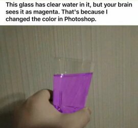 FRLjEGEXIAAWqky.jpeg