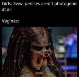 FRVo_YHXoAIviRI.jpeg