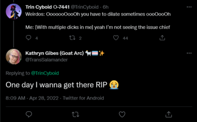 Screenshot 2022-04-28 at 14-05-27 Kathryn Gibes (Goat Arc) 🐐🏳️‍⚧️✨ on Twitter.png