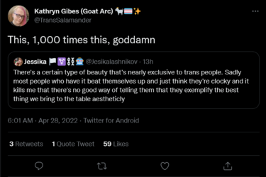 Screenshot 2022-04-28 at 14-08-10 Kathryn Gibes (Goat Arc) 🐐🏳️‍⚧️✨ on Twitter.png
