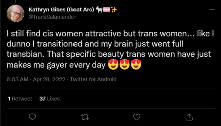 Screenshot 2022-04-28 at 14-08-26 Kathryn Gibes (Goat Arc) 🐐🏳️‍⚧️✨ on Twitter.png