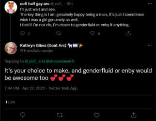 Screenshot 2022-04-28 at 14-17-03 Kathryn Gibes (Goat Arc) 🐐🏳️‍⚧️✨ on Twitter.png
