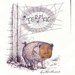 Charolettes Web.jpg