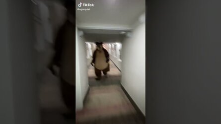 bear.jpg
