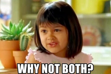 why not both.jpg
