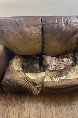 lacey-ellen-fletcher-couch.png