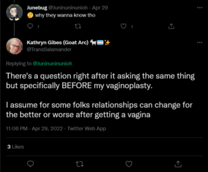 Screenshot 2022-05-01 at 00-26-09 Kathryn Gibes (Goat Arc) 🐐🏳️‍⚧️✨ on Twitter.png