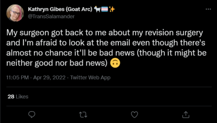 Screenshot 2022-05-01 at 00-26-59 Kathryn Gibes (Goat Arc) 🐐🏳️‍⚧️✨ on Twitter.png