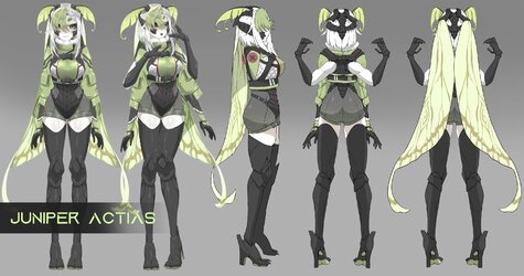 New Juniper Actias Reference Sheet.jpg