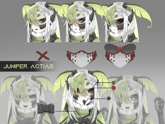 New Juniper Actias Face Reference Sheet.jpg