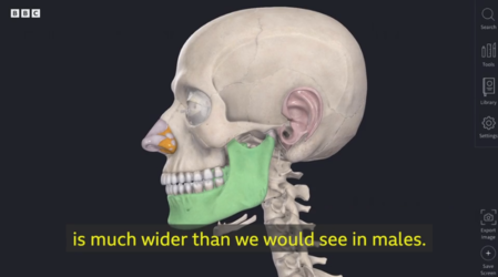 1651433507130.png