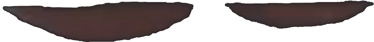 Gunt 2.0 RAW.png