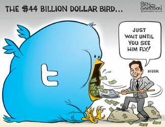 musk_twitter-big-fat-bird-1536x1182.jpg
