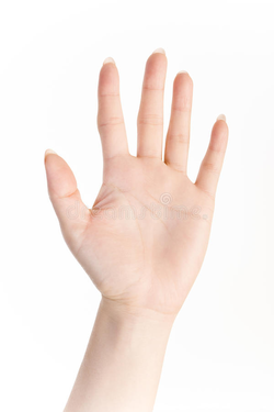 1651525812704.png