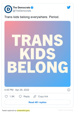 1651528848385.png
