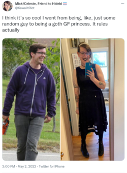 1651536473543.png