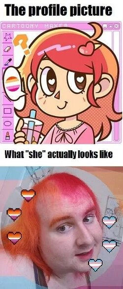 60cfe6203145b.jpeg