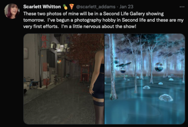 Gary - Second Life.png