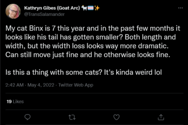 Screenshot 2022-05-04 at 17-57-59 Kathryn Gibes (Goat Arc) 🐐🏳️‍⚧️✨ on Twitter.png