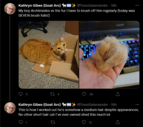 Screenshot 2022-04-17 at 18-36-48 Tweets with replies by Kathryn Gibes (Goat Arc) 🐐🏳️‍⚧️✨ (@Tr...png
