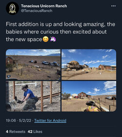 E2C6B9BD-C501-44C1-B16D-3B10DA30EF9F.jpeg