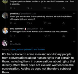 pregnant persons.PNG