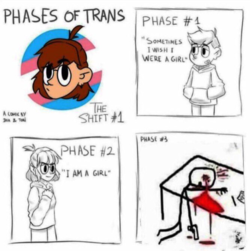 trans_phases.png
