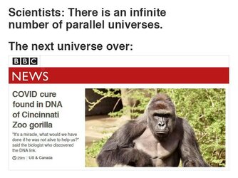 Parallel universes and the murder of Harambe.jpeg