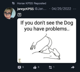86B29AC0-7A47-46AA-B5CF-DB0BF99339B7.jpeg