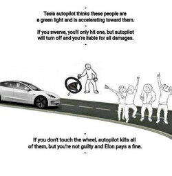 5354353425.jpg