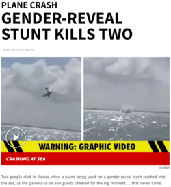 gender_reveal_plane.PNG