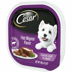 cesar.jpeg