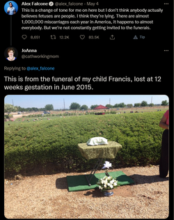 Twitterscr.png