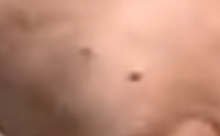 schwarzenegger n devito.png