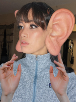 morph__dumbo_d_and_confused_by_wigglenflop_deelf1k.png