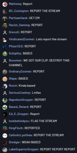 REPORT.PNG