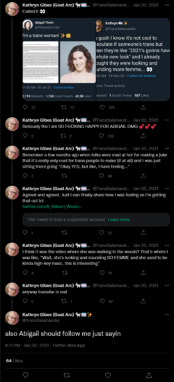 Screenshot 2022-05-09 at 00-31-28 Kathryn Gibes (Goat Arc) 🐐🏳️‍⚧️✨ on Twitter.png