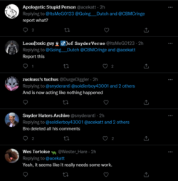Screenshot 2022-05-08 at 20-24-42 @acekatt - Twitter Search _ Twitter.png