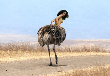 ostrich_girl_by_rureddyjoe86_d3f0hh5.jpg