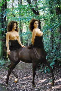 twotaur_update_by_rureddyjoe86_d649ivx.jpg