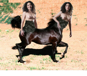 twotaur_by_rureddyjoe86_d3dgsec.jpg