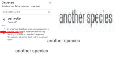 1652073901096.png