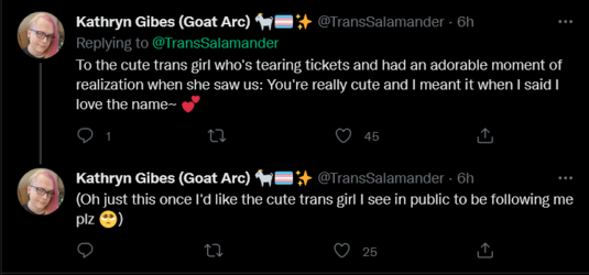Screenshot 2022-05-09 at 12-09-32 Kathryn Gibes (Goat Arc) 🐐🏳️‍⚧️✨ on Twitter.png