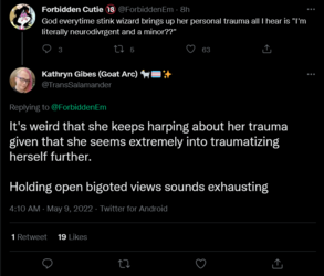 Screenshot 2022-05-09 at 12-15-45 Kathryn Gibes (Goat Arc) 🐐🏳️‍⚧️✨ on Twitter.png