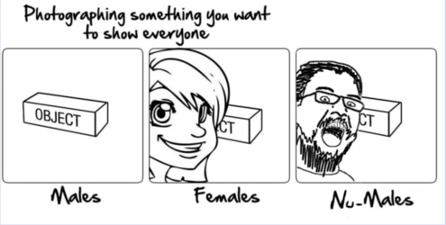 numale.png