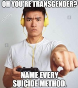 transgender_suicide_methods.png