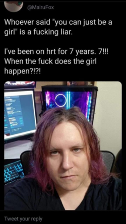 1627317116338.png