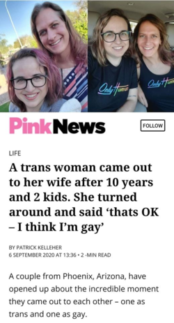 trans_and_gay.png